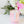 Load image into Gallery viewer, Mother’s Day Candle - Raspberry Almond Cake