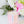 Load image into Gallery viewer, Mother’s Day Candle - Raspberry Almond Cake