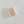 Load image into Gallery viewer, Wax Melt Clam Shell