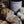 Load image into Gallery viewer, Gone Bananas - Fall Collection