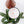 Load image into Gallery viewer, Fir Ever Green - Fraiser Fir Candle
