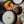 Load image into Gallery viewer, Candle with apple, sugar, and cinnamon on a magazine background
