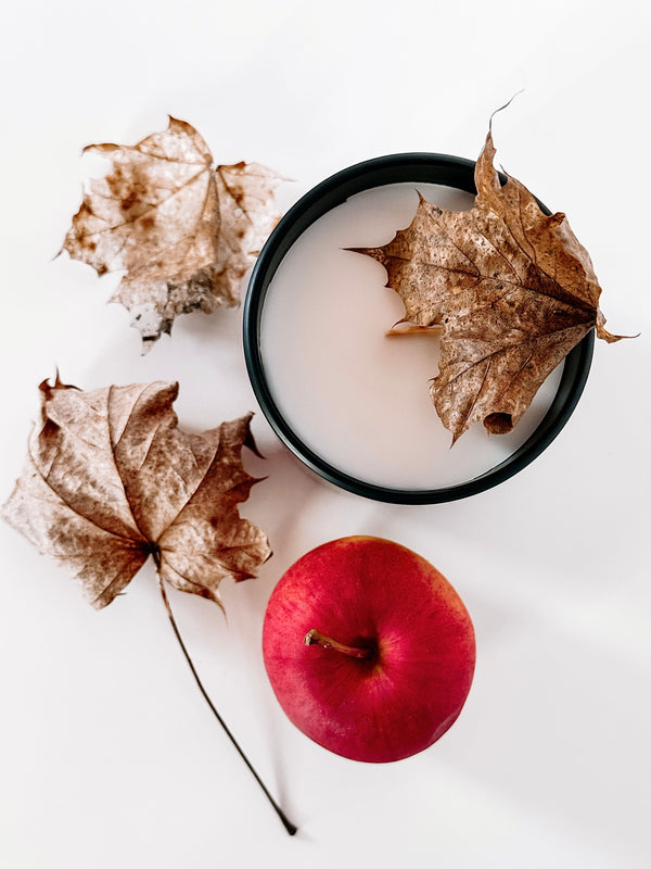 Winter Orchard - Winter Collection